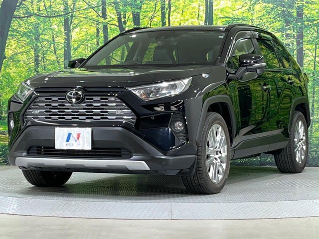 TOYOTA RAV4 4WD 2019 Image 31