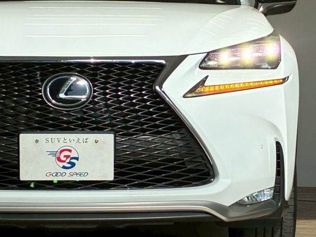 TOYOTA LEXUS NX200T 2016 Image 31