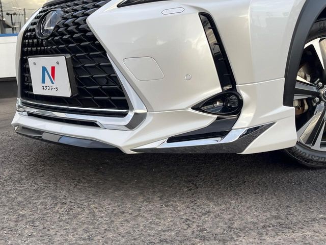 TOYOTA LEXUS UX250H AWD 2019 Image 31