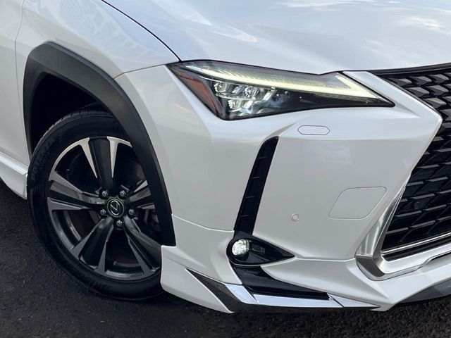 TOYOTA LEXUS UX250H AWD 2019 Image 31