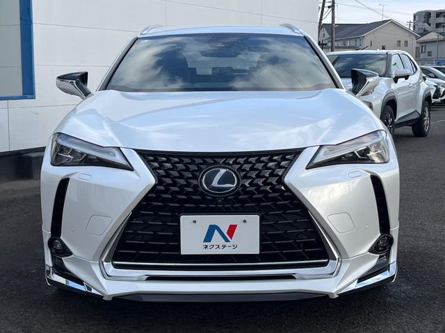 TOYOTA LEXUS UX250H AWD 2019 Image 31