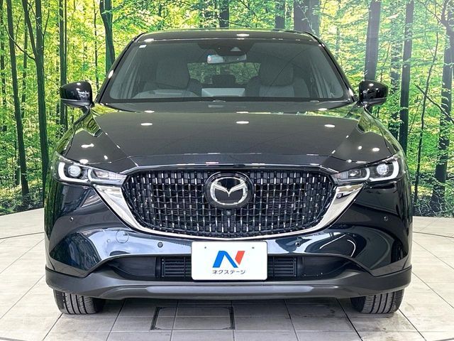 MAZDA CX-8 2023 Image 31