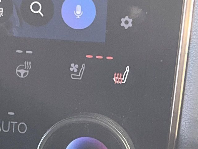 TOYOTA ALPHARD 2025 Image 31