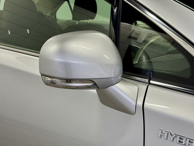 TOYOTA SAI 2010 Image 31