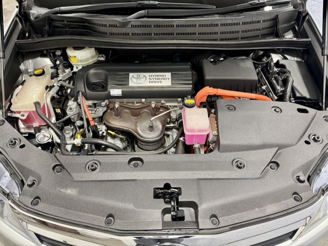 TOYOTA SAI 2010 Image 31