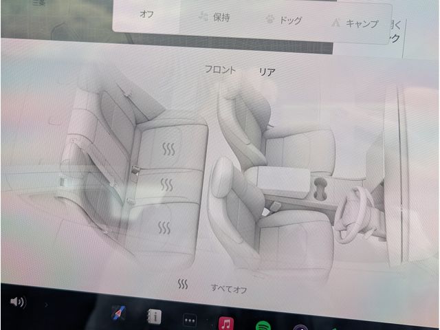 TESLA MODEL 3 2020 Image 31