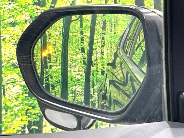 TOYOTA C-HR 2017 Image 31