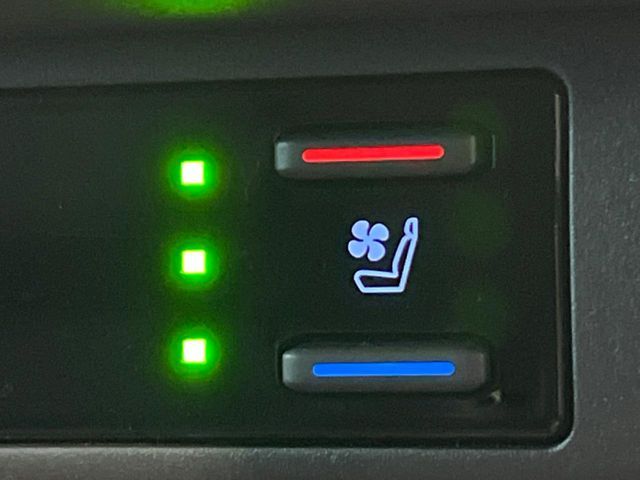 TOYOTA RAV4 4WD 2021 Image 31