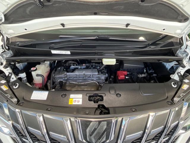 TOYOTA ALPHARD 2019 Image 31