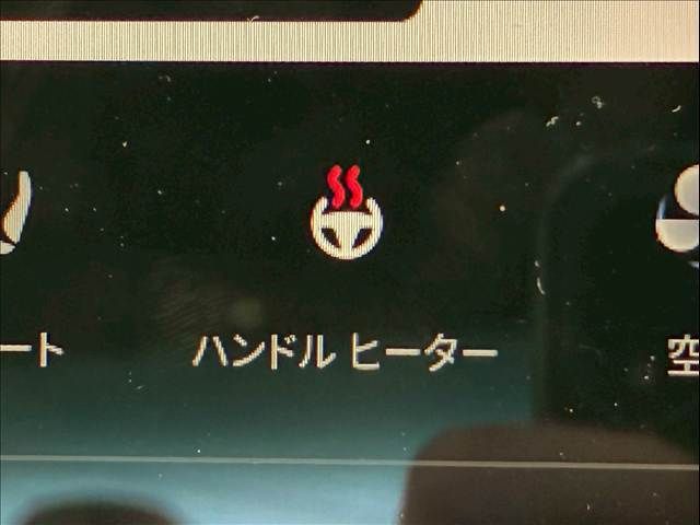 TESLA MODEL 3 2024 Image 31