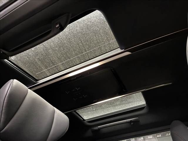 TOYOTA ALPHARD HYBRID 2023 Image 31