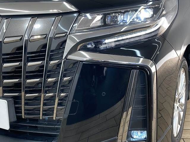 TOYOTA ALPHARD 2020 Image 31