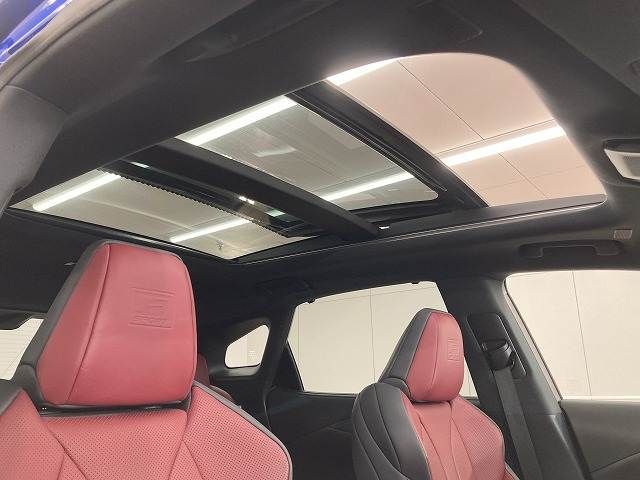 TOYOTA LEXUS RX500H 2023 Image 31