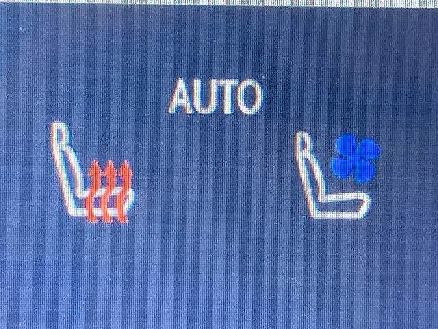 TOYOTA LEXUS RX500H 2023 Image 31