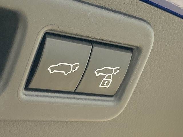 TOYOTA LEXUS RX500H 2023 Image 31