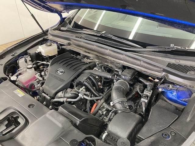 TOYOTA LEXUS RX500H 2023 Image 31