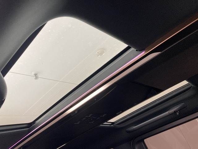 TOYOTA ALPHARD HYBRID 2024 Image 31