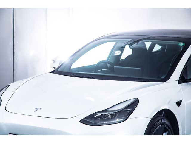TESLA MODEL 3 2021 Image 31