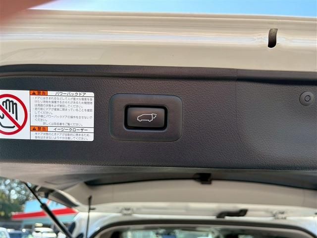 TOYOTA ALPHARD HYBRID 4WD 2022 Image 31