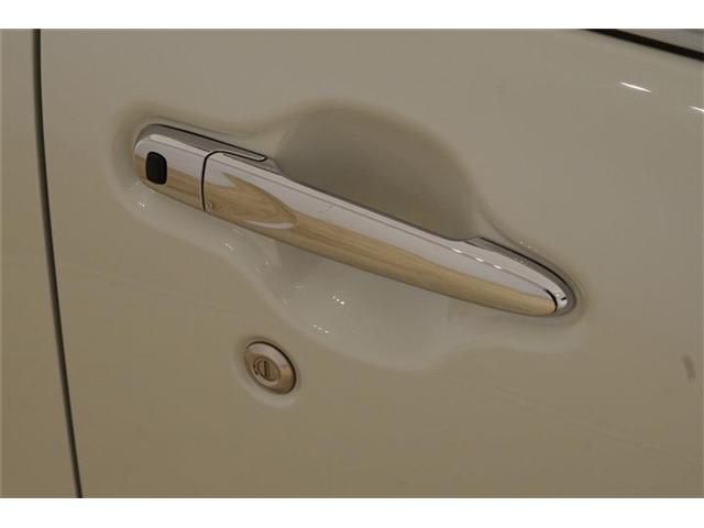 DAIHATSU CAST STYLE 2019 Image 31