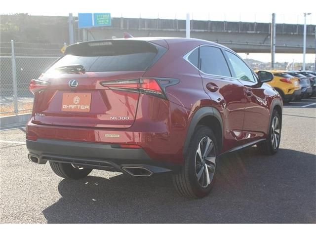 TOYOTA LEXUS NX300 2017 Image 31