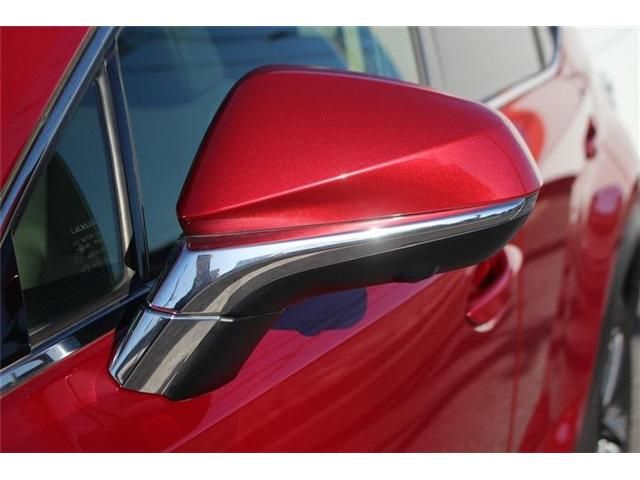 TOYOTA LEXUS NX300 2017 Image 31