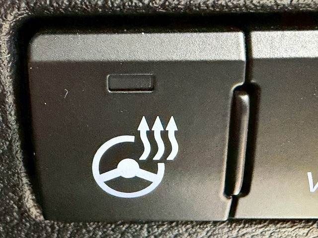 TOYOTA LEXUS NX300 2019 Image 31