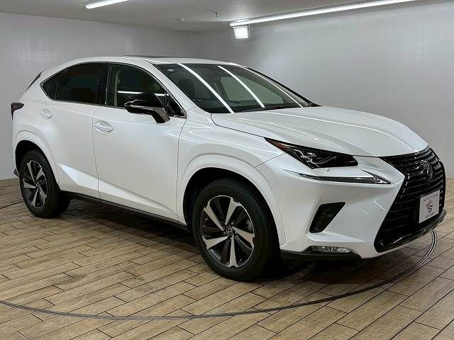 TOYOTA LEXUS NX300 2019 Image 31