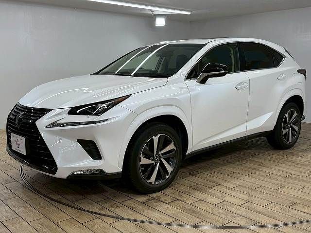 TOYOTA LEXUS NX300 2019 Image 31