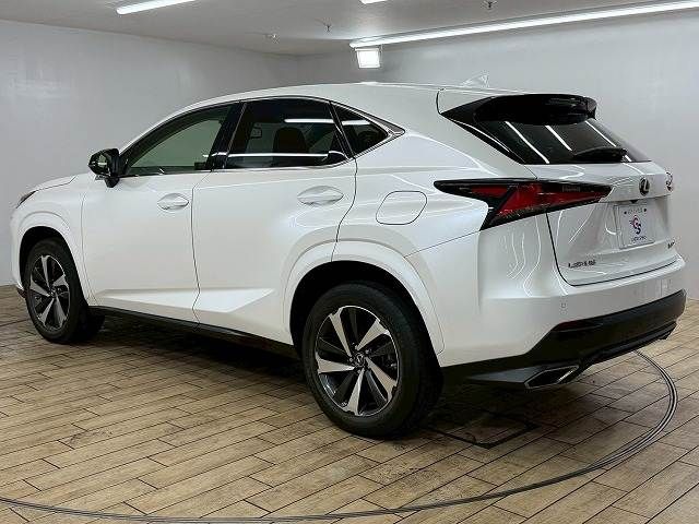 TOYOTA LEXUS NX300 2019 Image 31