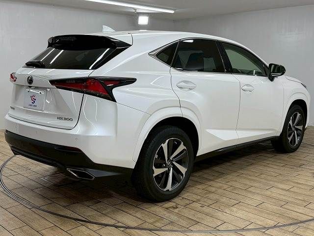 TOYOTA LEXUS NX300 2019 Image 31