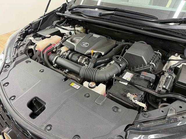 TOYOTA LEXUS NX300 2019 Image 31