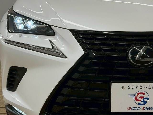 TOYOTA LEXUS NX300 2019 Image 31