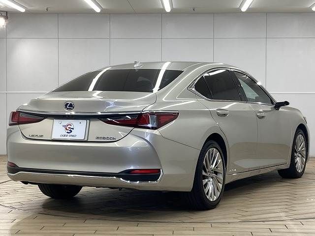 TOYOTA LEXUS ES300H 2019 Image 31