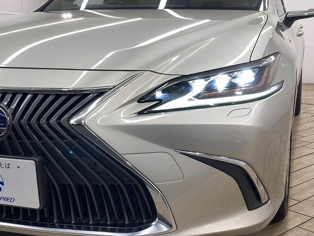 TOYOTA LEXUS ES300H 2019 Image 31
