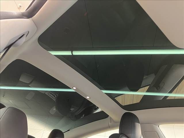 TESLA MODEL 3 2021 Image 31
