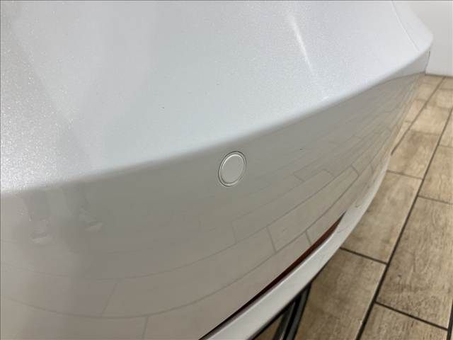 TESLA MODEL 3 2021 Image 31
