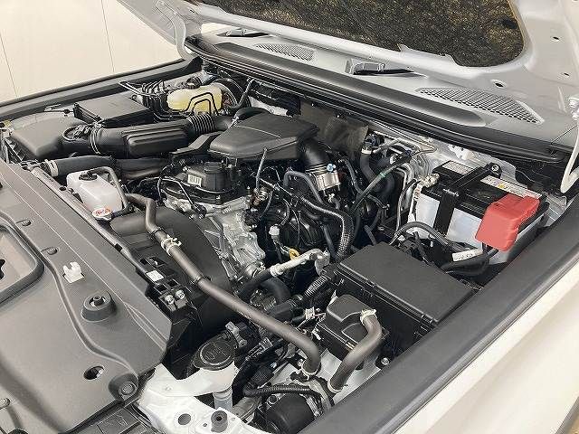 TOYOTA LANDCRUISER 250 2024 Image 31