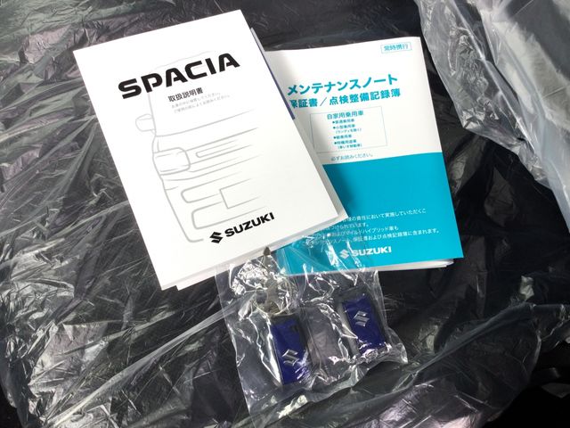 SUZUKI SPACIA GEAR 2025 Image 31