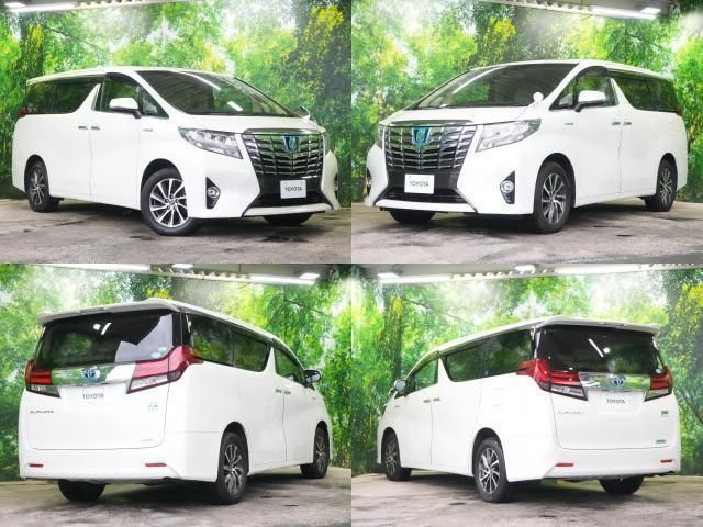 TOYOTA ALPHARD HYBRID 4WD 2015 Image 31