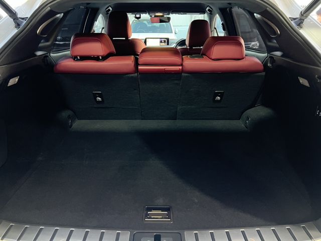 TOYOTA LEXUS RX450H AWD 2017 Image 31