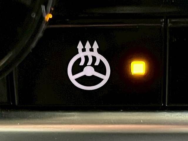 NISSAN X-TRAIL HYBRID 4WD 2023 Image 31