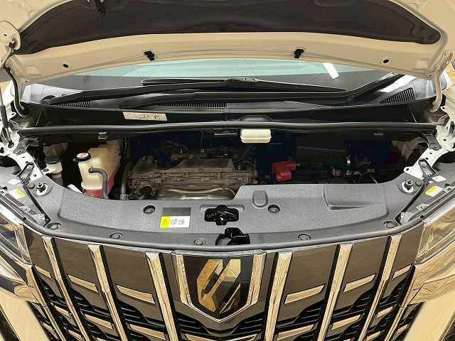 TOYOTA ALPHARD 4WD 2020 Image 31