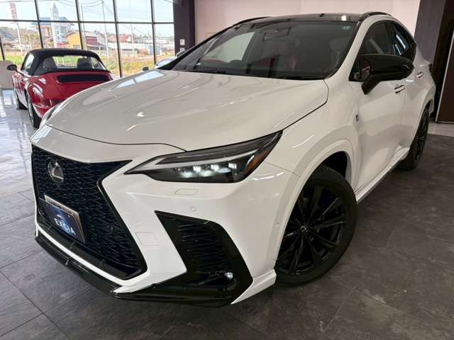 TOYOTA LEXUS NX350H AWD 2024 Image 31