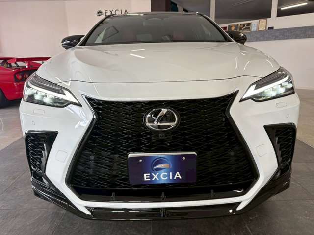 TOYOTA LEXUS NX350H AWD 2024 Image 31