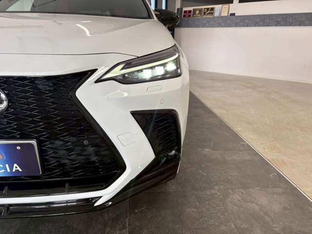 TOYOTA LEXUS NX350H AWD 2024 Image 31