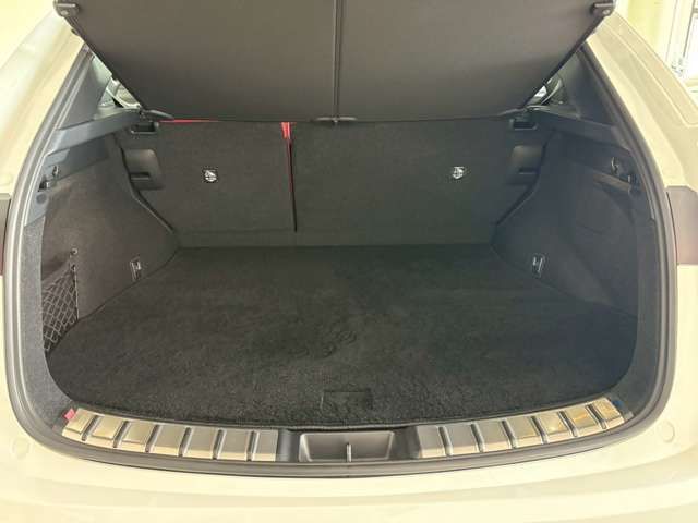 TOYOTA LEXUS NX350H AWD 2024 Image 31