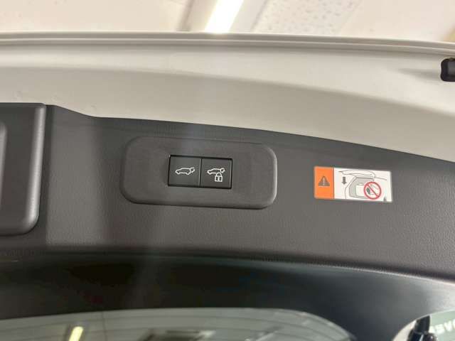 TOYOTA LEXUS NX350H AWD 2024 Image 31