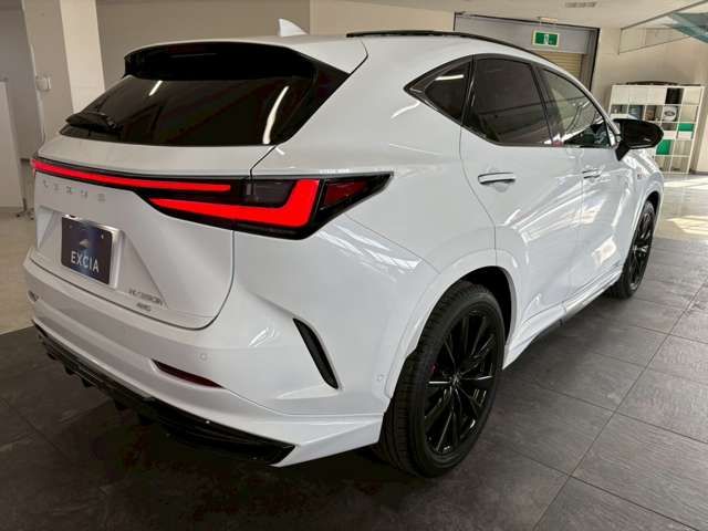 TOYOTA LEXUS NX350H AWD 2024 Image 31