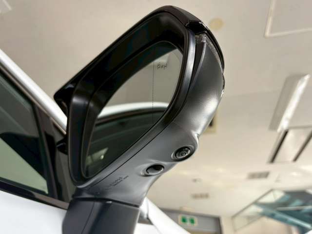 TOYOTA LEXUS NX350H AWD 2024 Image 31